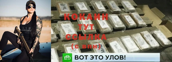 молекула духа Гусиноозёрск