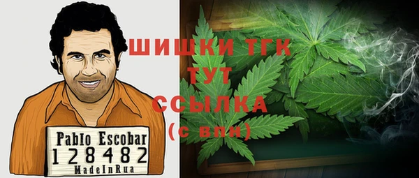 МДПВ Гусев