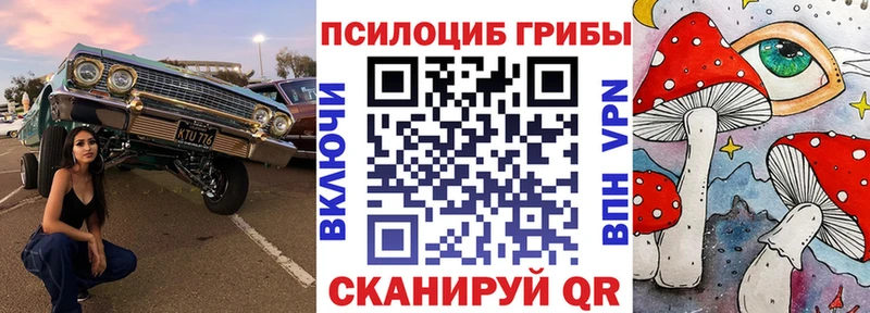 Купить  Торжок  Псилоцибиновые грибы ЛСД 